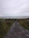 View down lane from gate to Killelton (69175 bytes)