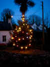 Christmas Tree in Corofin (92319 bytes)