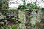 Killelton Ruins (186696 bytes)