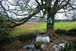 St. Fleming's Holy Well near Corofin